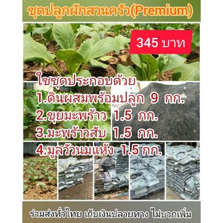 ชุดปลูกผักสวนครัว(Premium) เหลือเพียง 109 บาท