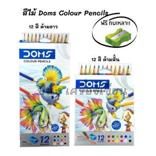 DOMS COLOUR PENCILS สีไม้ ดินสอสี ดินสอสีไม้ สีไม้ DOMS COLOUR PENCILS ฟรี !กบเหลา! (มี12 สี/ แพ็ค , สั้น/ยาว)
