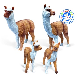 Munich Play - Alpaca อัลปากา น้ำตาลขาว พ่อแม่ลูก ชุด 4 ตัว (จากหาดใหญ่)