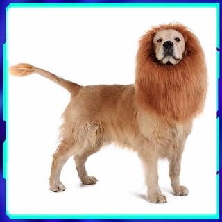 วิกผมแมว วิกผมหมา ทรงแผงคอสิงโต ของใช้สัตว์เลี้ยง Pet dog cat wig accessories lion head cover dog neck