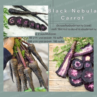 เมล็ดพันธุ์ แครอท สีดำ 100 เมล็ด Black Nebula Carrot Seed เมล็ดพันธุ์แท้ นำเข้าจากต่างประเทศ ปลูกผัก สวนครัว ถูกดี โตไว生