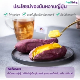 Live 🍠 ShiTori | มันหวานญี่ปุ่น เบนิฮารุกะ ไซส์ L ยกลัง 5 กก. กลิ่นหอม รสชาติหวาน เนื้อฉ่ำ