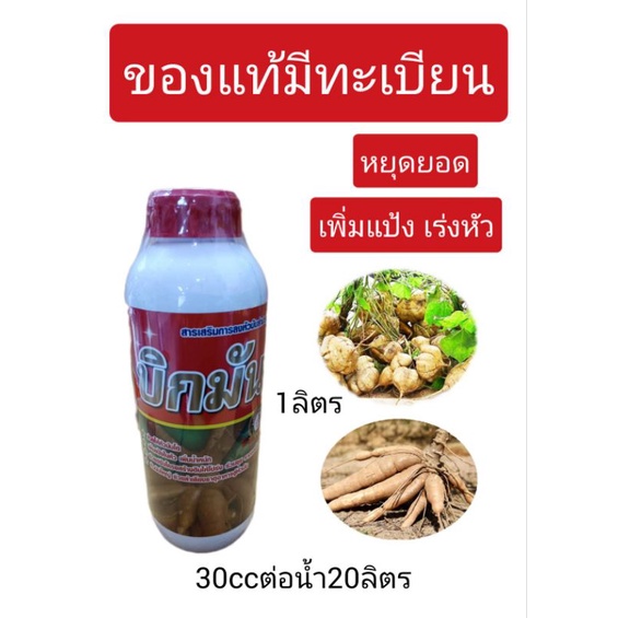 ปุ๋ยมันสำปะหลัง ฉีดพ่นทางใบ หัวใหญ่ บิกมัน 1ลิตร