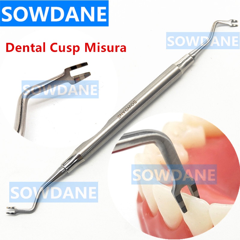 Dental Composite Resin Filling Spatula Dental Cusp Misura Dental Teeth Aesthetic Restoration Trimmer