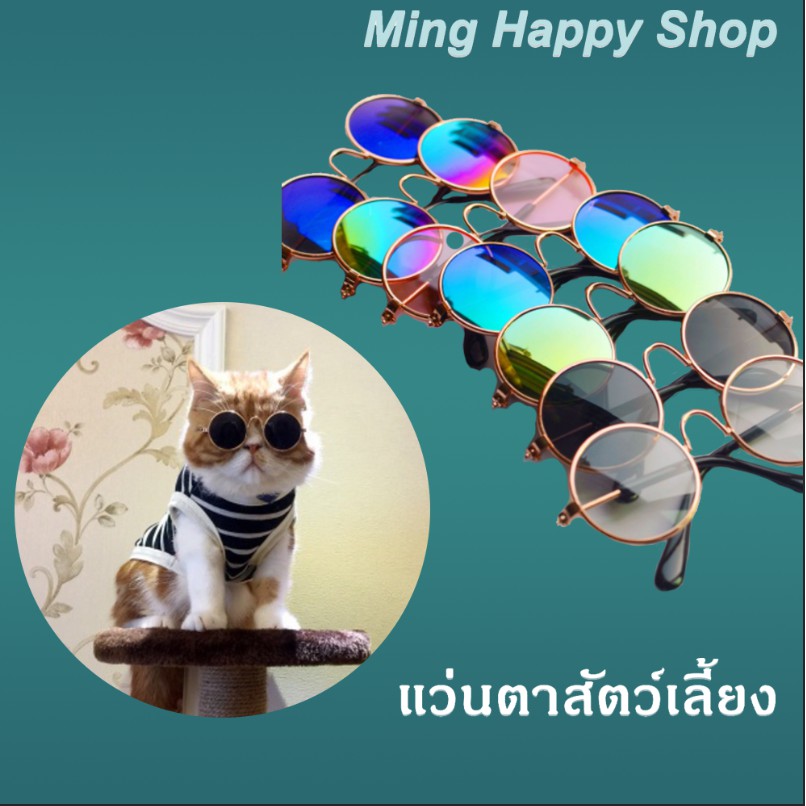 Ming แว่นตาสัตว์เลี้ยง แว่นแมว แว่นหมา สร้อยคอสัตว์เลี้ยง พร้อมส่ง