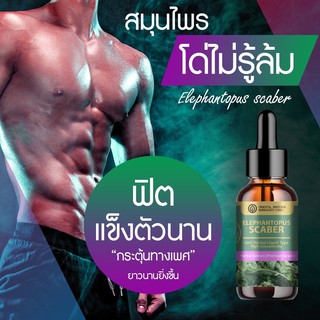 (สินค้ามีพร้อมส่ง) สารสกัดสมุนไพรโด่ไม่รู้ล้ม ชนิดน้ำ (Elephantopus scaber L.) ขนาด 25 ml.