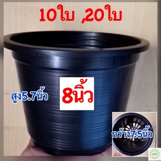 กระถางต้นไม้พลาสติก8นิ้ว กระถางพลาสติก8นิ้ว กระถาง8นิ้วราคาส่ง10ใบ,20ใบ