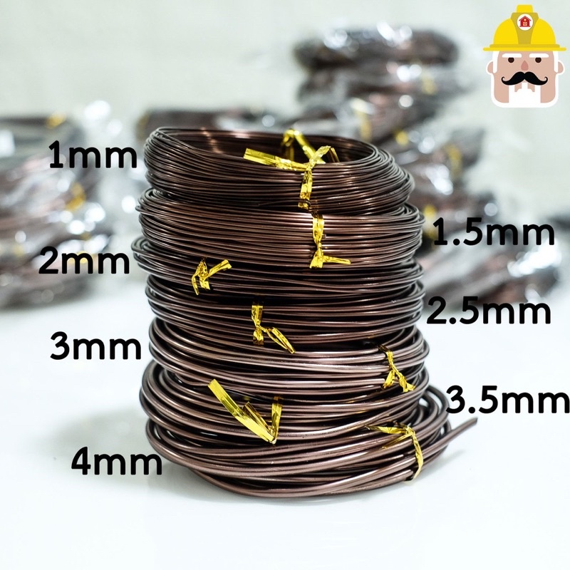*พร้อมส่ง* ลวดดัดบอนไซ ขนาด100กรัม ลวดดัดบอนสี อุปกรณ์บอนไซ ไม่ขึ้นสนิม อุปกรณ์ตกแต่งสวน ต้นไม้ฟอกอากาศ ลวดบอนไซสีดำ