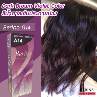 เบอริน่า A14 น้ำตาลเข้มประกายม่วง สีย้อมผม ครีมย้อมผม สีผม ยาย้อมผม Berina A14 Dark Brown Violet Color