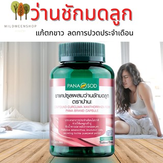 พร้อมส่ง ว่าน ชักมดลุก สมุนไพร 100% ตราปานะ (ว่าน ชัก มด ลูก)