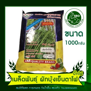 เมล็ดพันธุ์ผักบุ้ง เย็นตาโฟ โฟบิ๊ก 1กิโลกรัม (ตราปลา)