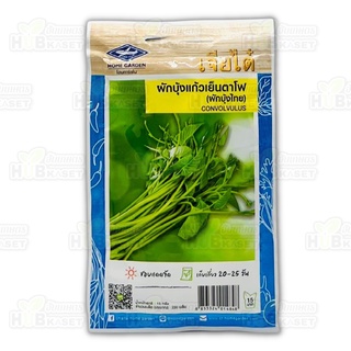 🌱 เจียไต๋ 🇹🇭 ผักบุ้งแก้วเย็นตาโฟ(ผักบุ้งไทย) ขนาดบรรจุประมาณ 230 เมล็ด อายุเก็บเกี่ยว 20-25 วัน