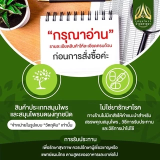 เม็ดพุดจีน เม็ดเก๊กฮวย เกรดสวย คุณภาพดี ไม่ดำ (สำหรับใส่ต้มคู่เก๊กฮวย)