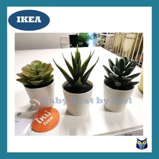 IKEA *พร้อมส่ง* ต้นไม้ประดิษฐ์ในกระถาง ชุด 3 ชิ้น