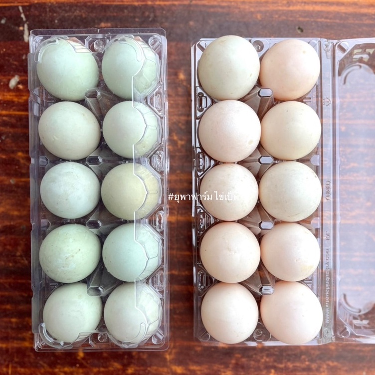 ไข่เป็ดสดจากฟาร์มคละ 10ฟอง เก็บใหม่ก่อนส่ง เปลือกเขียวสั่งได้ค่ะ | Shopee  Thailand