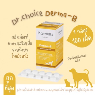 (100 เม็ด)Dr.Choice Derma-B อาหารเสริมบำรุงผิวหนัง บำรุงขน สุนัข แมว(สีเหลือง)