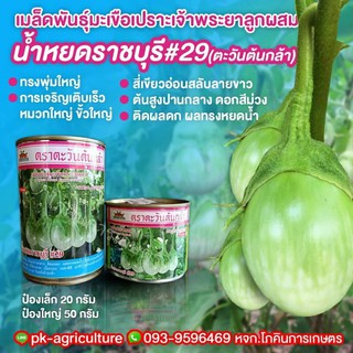 เมล็ดพันธุ์มะเขือ น้ำหยดราชบุรี #29 ขนาด 20-50 กรัม