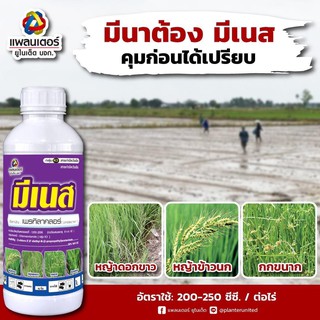 มีเนส 1  ลิตร ใช้คุมเลน เพรทิลาคลอร์ 30% W/VEC