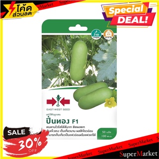 แฟงไส้ตันลูกผสม F1 ปิ่นทอง อีสท์ เวสท์ ซีด เมล็ดพันธุ์ F1 HYBRID WAX GOURD PINTHONG EAST-WEST SEED ต้นไม้และเมล็ดพันธุ์