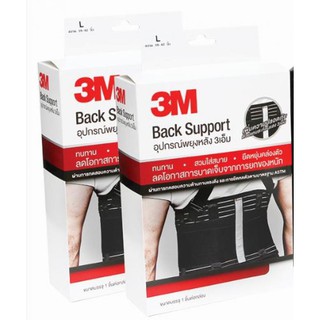 3M Back Support For Waistline , 38-42 Inch, L