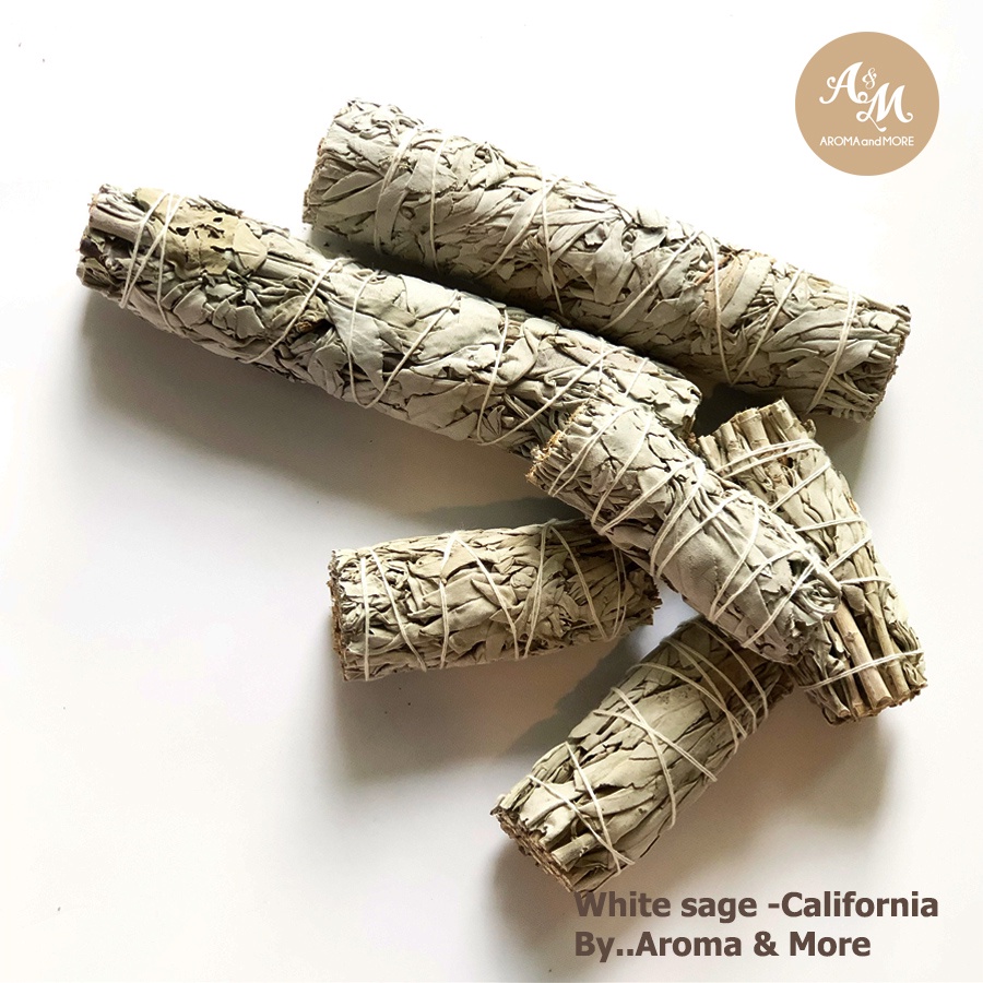 Aroma&More ไวท์ เสจ White Sage California สำหรับจุดขับไล่ปัดเป่า สร้างพลังงานบวก ล้างหิน ไพ่ cleansing and purification