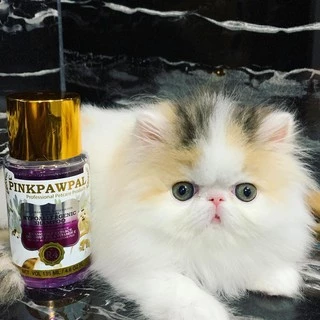 Pinkpawpal แชมพูสำหรับแมวผิวบอบบาง แพ้ง่าย Hypoallergenic Shampoo