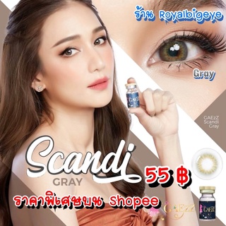 คอนแทคเลนส์ 🎀 Scandi Gray 🎀(Gaezz Secret)[มีค่าสายตาสั้นถึง 1000]💝สีเทาขนาดมินิสวยขายดีมาก