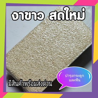 White Sesame Seeds 350g. งาขาว 350กรัม  งาขาวดิบ อย่างดีเกรด A งาใส่ขนม งาดิบใช้ทำงาบด  สดใหม่บรรจุในถุงสูญญากาศอย่างดี