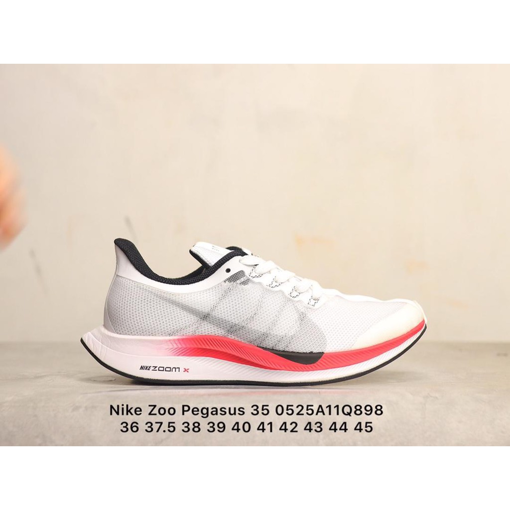 Nike zoo Pegasus 5 turbo moon 5 