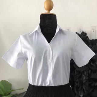 เสื้อนักศึกษาขาวนวล หลังแหลม อก32-56 เนื้อผ้าดีมาก มีครบไซส์