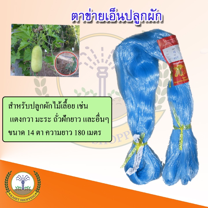ตาข่ายเอ็น อวน ค้าง ปลูกผัก 14 ตา ใช้กับแตงกวา แตงร้าน มะระ บวบ ถั่วฝักยาวและพืชเถาอื่นๆ