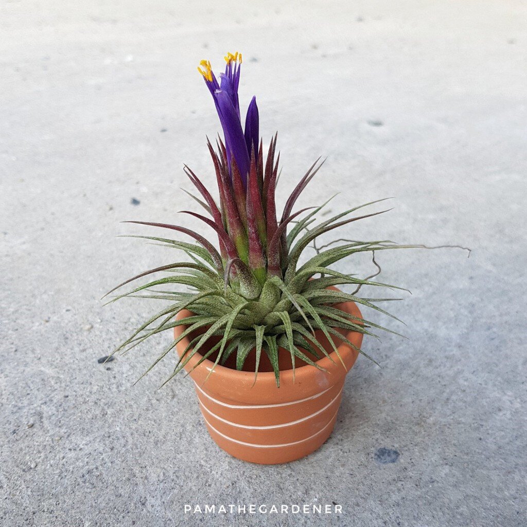 มุมมอง 4