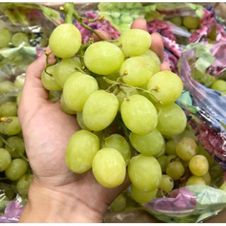 TOP-1องุ่นเขียวไร้เมล็ด (ยกลัง10กก.) Green Grape (USA/AUS) ~ลดพิเศษ~ส่งฟรี~ (องุ่นนอก องุ่นเขียวไร้เม็ด ขายส่ง ราคาส่ง)