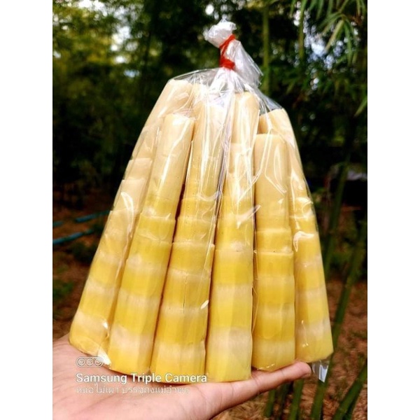 หน่อไม้เผา บรรจุถุง ทำสดใหม่ หอม สูตรชาวบ้าน👍ขนาด 450 กรัม ไม่เปรี้ยว ไม่ดอง