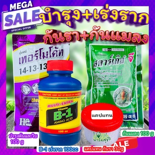 บำรุง+เร่งราก+กันรา+กันแมลง🔸 ปุ๋ยเทอร์โมโค้ท+น้ำยาเร่งรากB1+สตาร์เกิลจีกำจัดแมลง +แคปแทนกันรา ปุ๋ยไม้ดอกไม้ประดับทุกชนิด