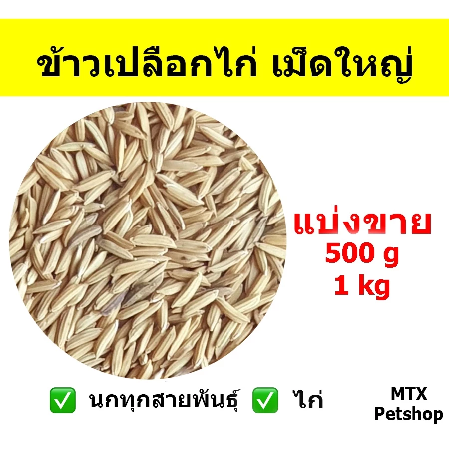 ข้าวเปลือกไก่ เม็ดใหญ่ // สำหรับนก และ สัตว์ฟันแทะ