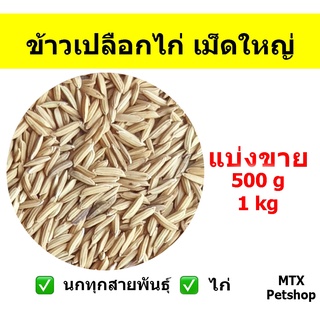 ข้าวเปลือกไก่ เม็ดใหญ่ // สำหรับนก และ สัตว์ฟันแทะ