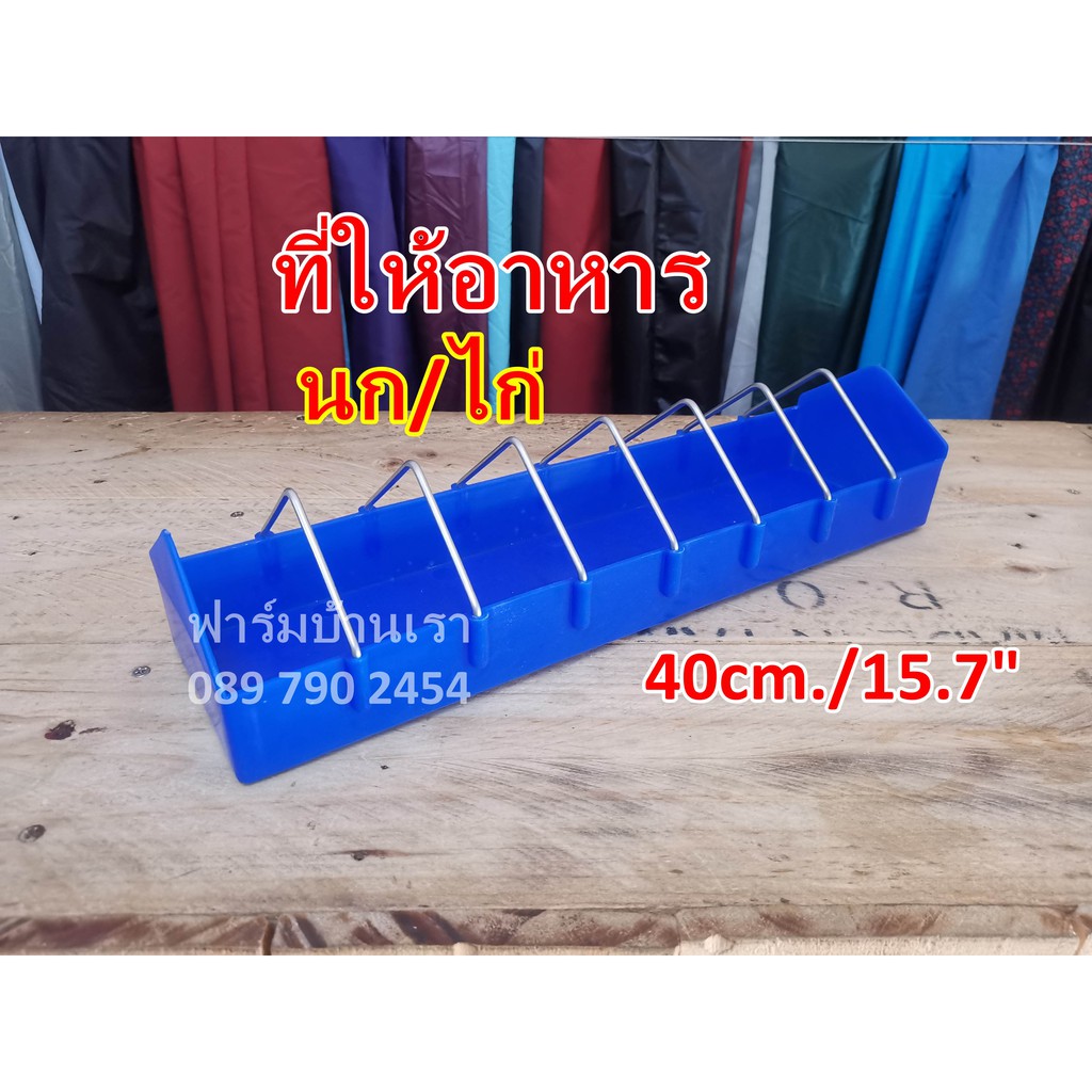 My Image 33