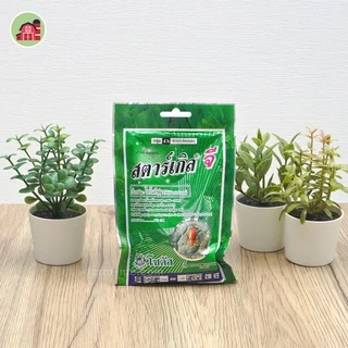 สตาร์เกิลจี Stargle G ป้องกันกำจัดเพลี้ย 100กรัม 250กรัม 500กรัม