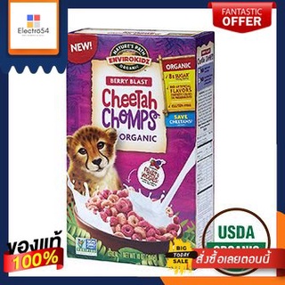 Nature Path Berry Blast Cheetah ChompsNature Path Berry Blast Cheetah Chomps