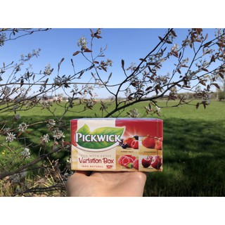 ชาผลไม้หลากรส ธรรมชาติแท้ 100 % Pickwick Tea With Fruit Variation Box 100% เพลิดเพลินกับชาแสนอร่อยรสชาดผลไม้ที่เข้มข้น