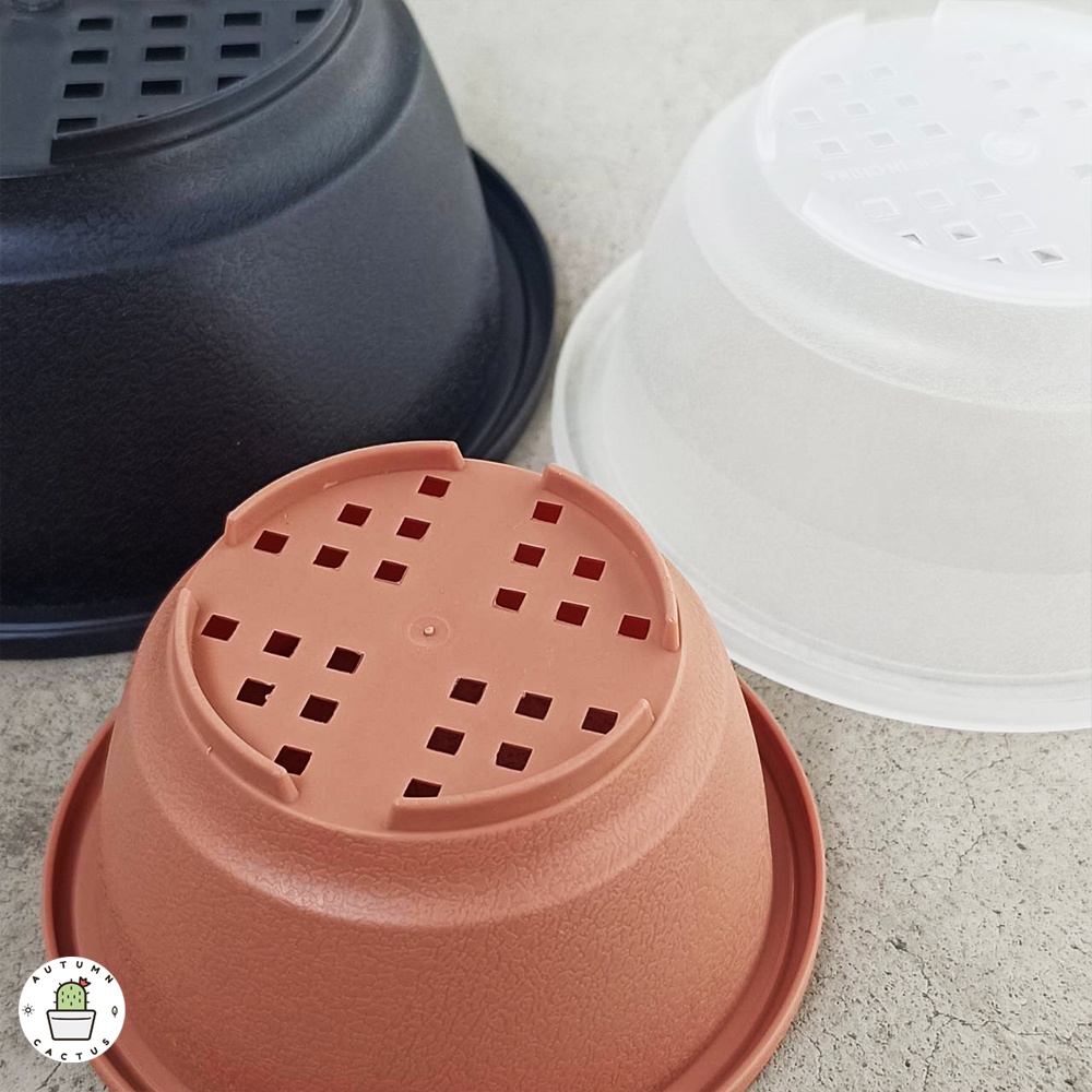 ⚫🟠กระถางทรงกลมแบน ปากแบน กระถางต้นไม้ กระถางใส น้ำตาล และสีดำ 4 - 5.5 - 6.5 นิ้ว⚫🟠 - รูปที่ 3