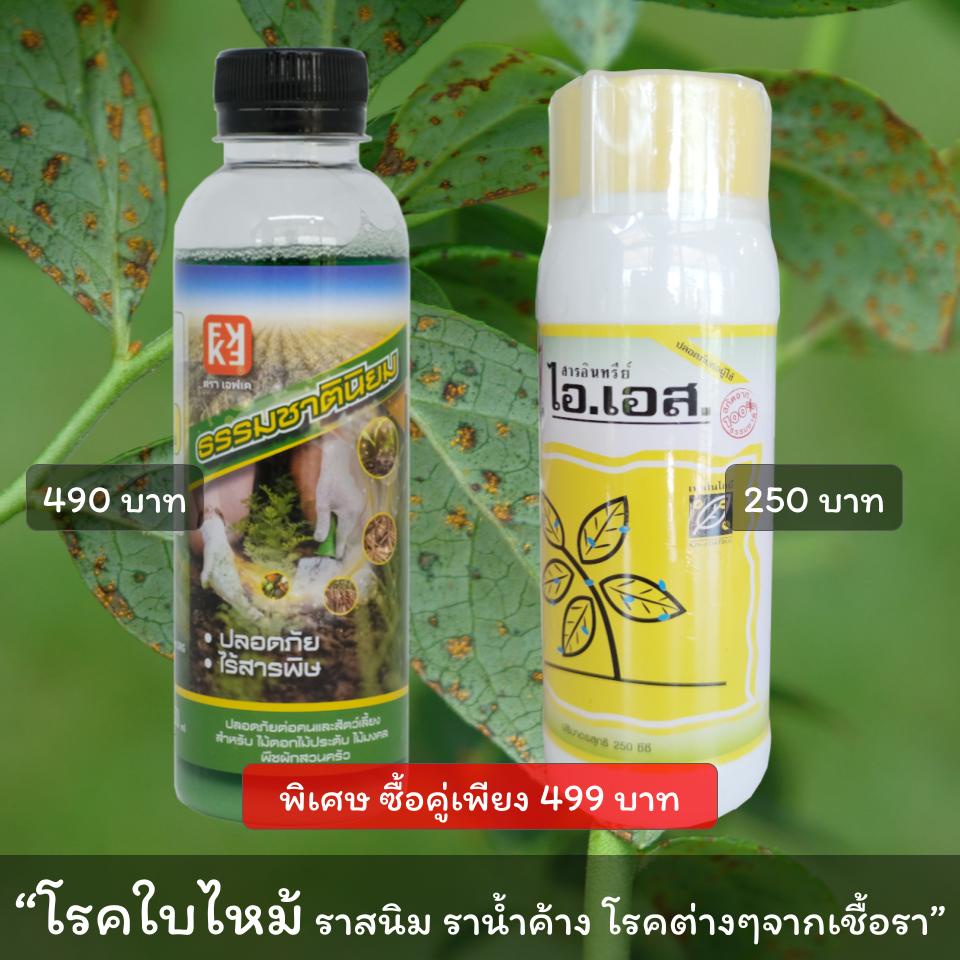 โรคใบไหม้ ในพืชต่างๆ ราน้ำค้าง ราสนิม ใบจุด ใช้ ไอเอส + FKธรรมชาตินิยม #โรคใบไหม้ 250ซีซี ต่อขวด
