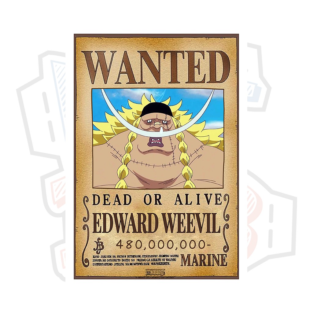 โปสเตอร์ Edward Weevil Wanted (Nhat Vu Hai) - วันพีซ