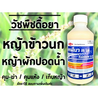 เรนโบว 25 โอดี 1 ลิตร ( พีน็อกซูแลม ) ในนาข้าว หญ้าข้าวนก หญ้าลิเก หญ้าหางหมา หญ้าดอกขาว ผักปอดน้ำ คุมแห้ง 1 L