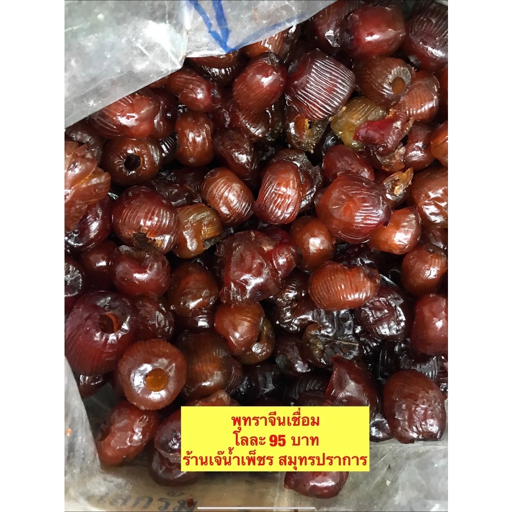 พุทราจีนเชื่อมเนื้ออร่อยเม็ดกำลังหน้ารับประทานขนาด500กรัม ราคา ถูกที่สุด ดีลบีเคเค รูปภาพหลัก