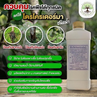 ไตรโคเดอร์มา ชนิดน้ำ บรรจุ 1 ลิตร (Trichoderma asperellum) จากภาควิชาโรคพืช คณะเกษตร มหาวิทยาลัยเกษตรศาสตร์ กำแพงแสน