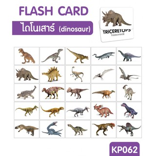 แฟลชการ์ด ไดโนเสาร์ แผ่นใหญ่ Flash card Dinosaur KP062