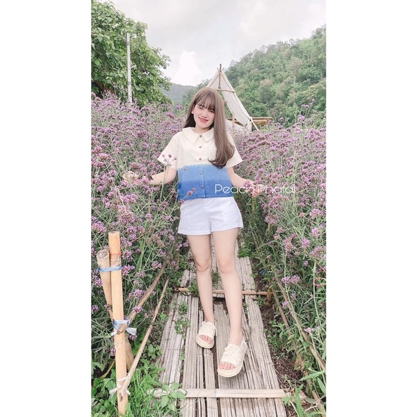 เสื้อคอฉาบกระดุมเนื้อผ้าฝ้าย