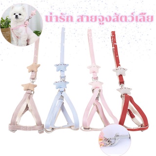 🐶พร้อมส่ง🐱 สายจูงสุนัข น่ารัก สายจูงแมว สายจูงสัตว์เลี้ย รูปดาว สายจูงสุนัข 4สี